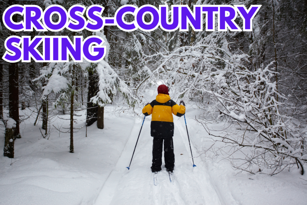 Cross-country skiing on a snowy trail through a forest